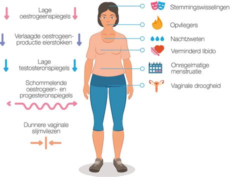 overgang zin in seks|De vrouw in de overgang: seksuele autonomie en herontdekking